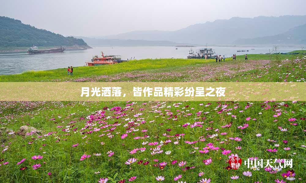 月光洒落，皆作品精彩纷呈之夜