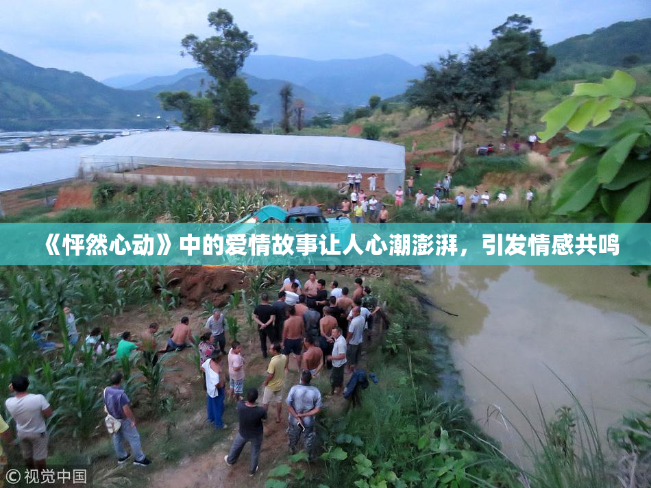 《怦然心动》中的爱情故事让人心潮澎湃，引发情感共鸣