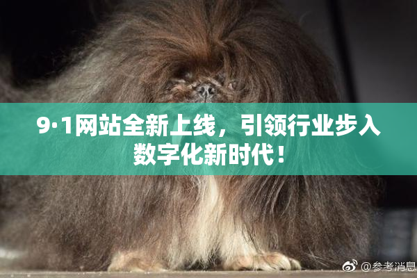 9·1网站全新上线，引领行业步入数字化新时代！