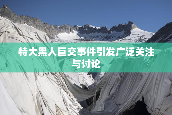 特大黑人巨交事件引发广泛关注与讨论