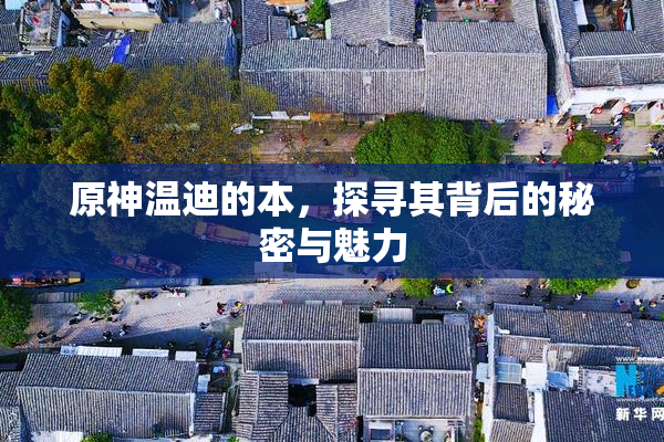 原神温迪的本，探寻其背后的秘密与魅力