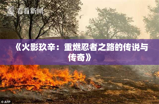 《火影玖辛：重燃忍者之路的传说与传奇》