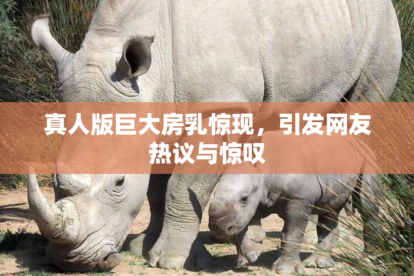真人版巨大房乳惊现，引发网友热议与惊叹