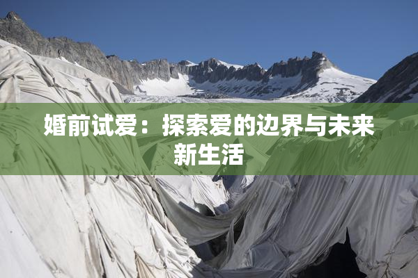 婚前试爱：探索爱的边界与未来新生活