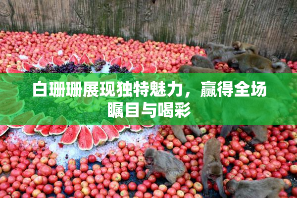 白珊珊展现独特魅力，赢得全场瞩目与喝彩
