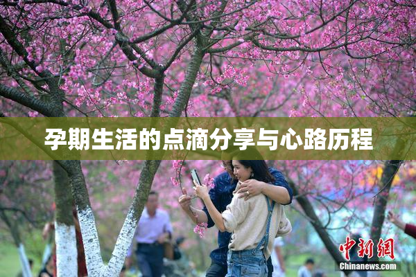 孕期生活的点滴分享与心路历程