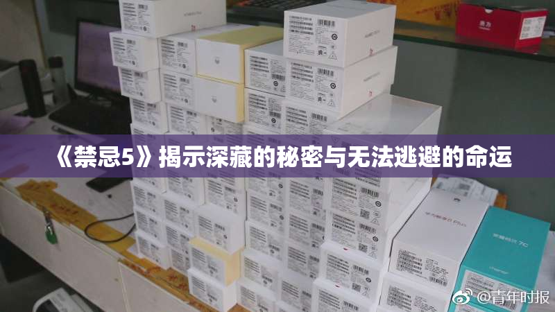 《禁忌5》揭示深藏的秘密与无法逃避的命运