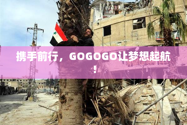 携手前行，GOGOGO让梦想起航！