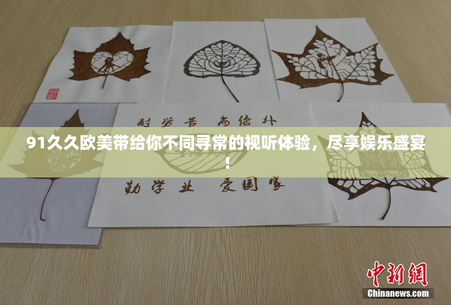 91久久欧美带给你不同寻常的视听体验，尽享娱乐盛宴！