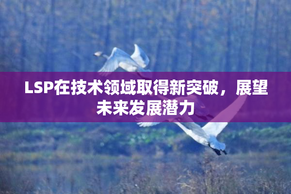 LSP在技术领域取得新突破，展望未来发展潜力