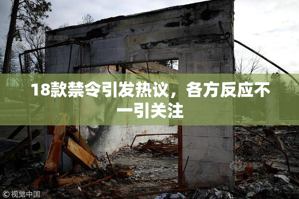 18款禁令引发热议，各方反应不一引关注