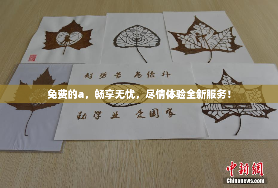 免费的a，畅享无忧，尽情体验全新服务！