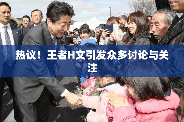热议！王者H文引发众多讨论与关注