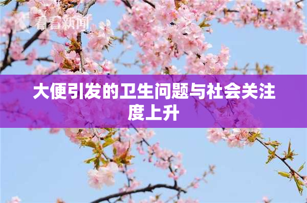 大便引发的卫生问题与社会关注度上升