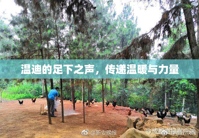 温迪的足下之声，传递温暖与力量