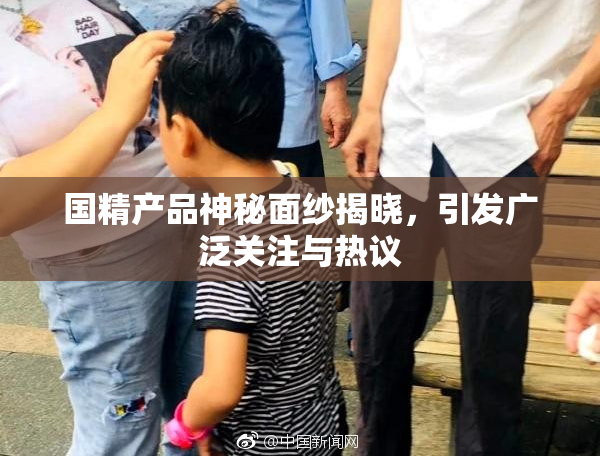 国精产品神秘面纱揭晓，引发广泛关注与热议