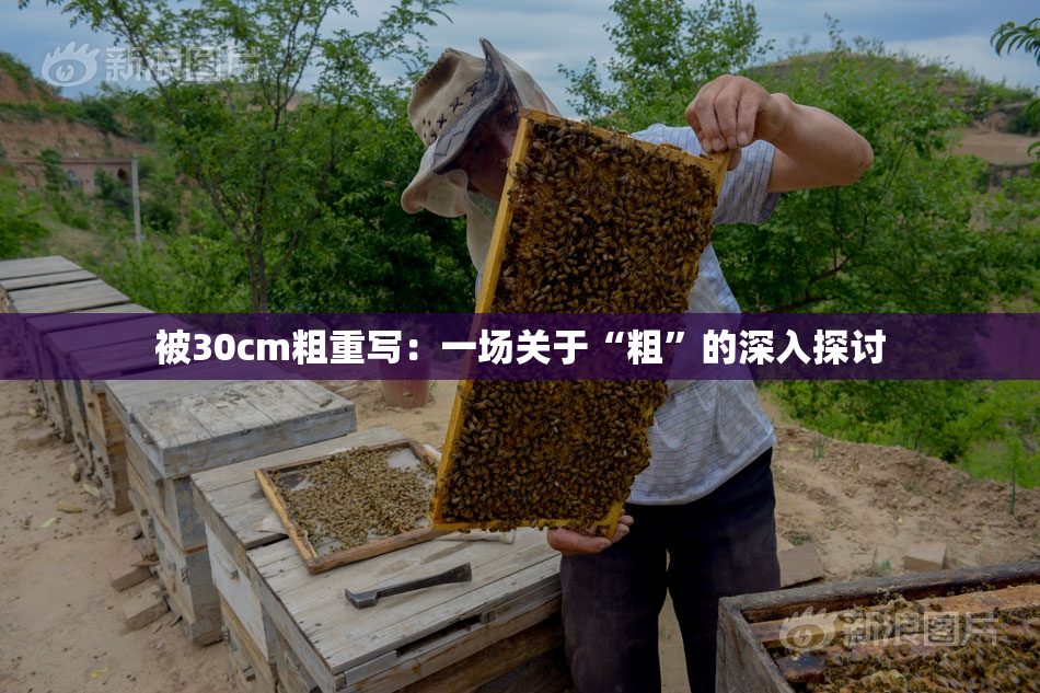 被30cm粗重写：一场关于“粗”的深入探讨