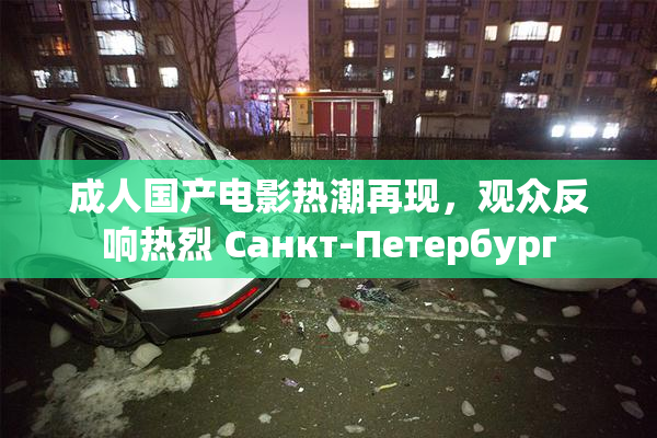 成人国产电影热潮再现，观众反响热烈 Санкт-Петербург