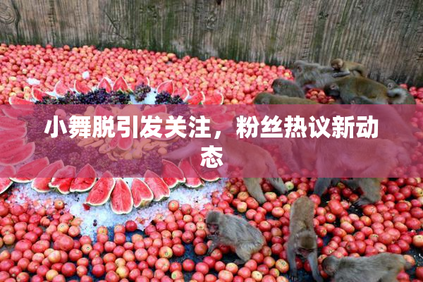 小舞脱引发关注，粉丝热议新动态