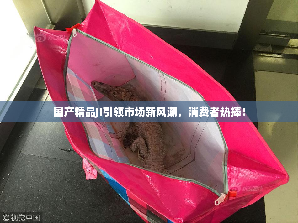 国产精品JI引领市场新风潮，消费者热捧！
