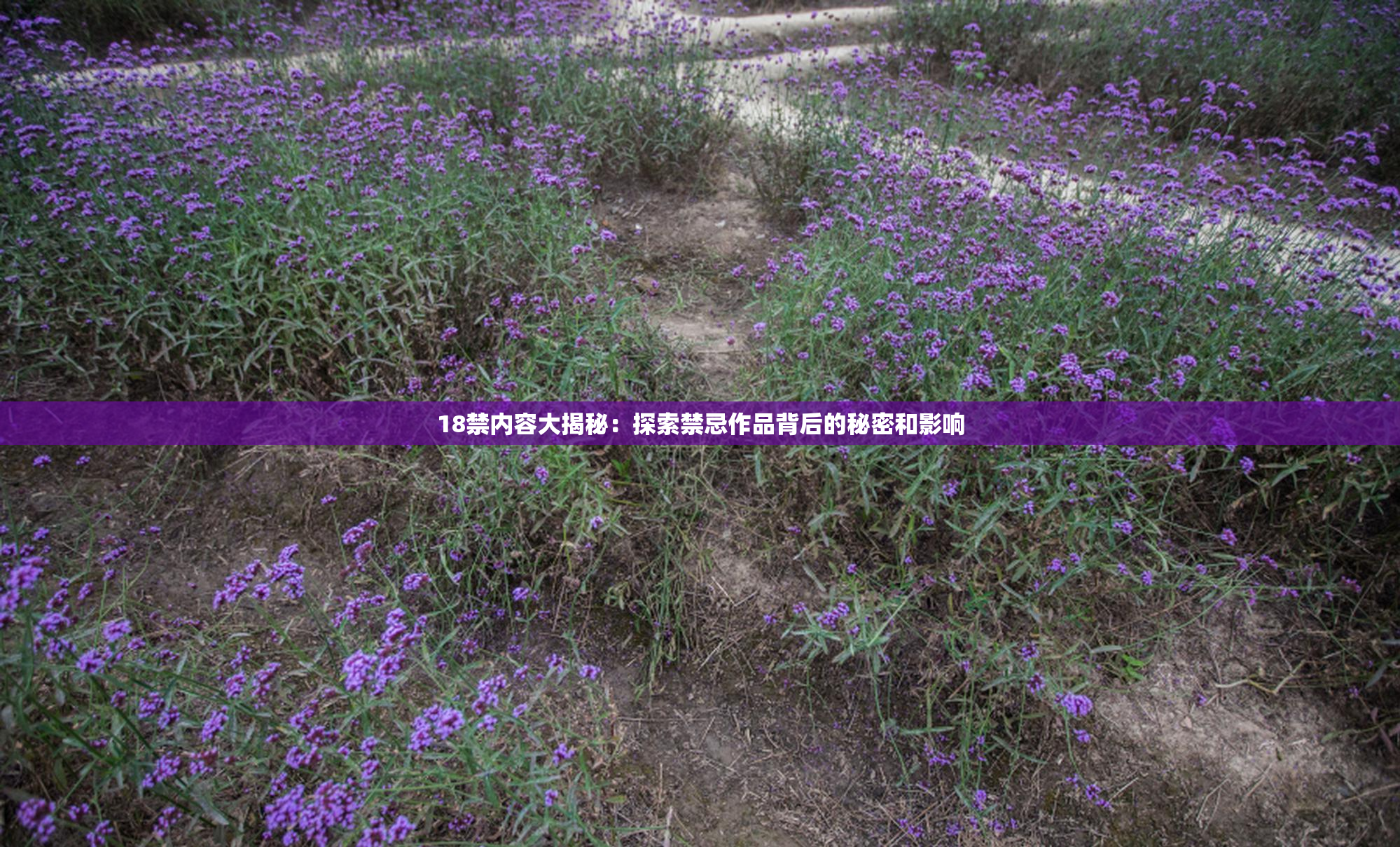 18禁内容大揭秘：探索禁忌作品背后的秘密和影响