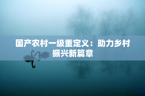 国产农村一级重定义：助力乡村振兴新篇章