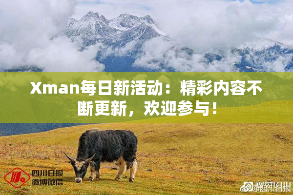 Xman每日新活动：精彩内容不断更新，欢迎参与！
