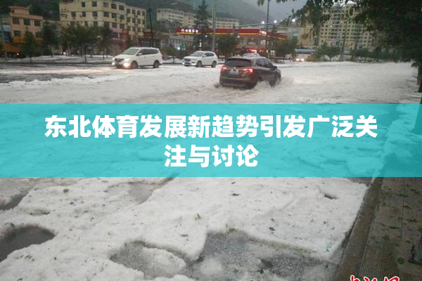 东北体育发展新趋势引发广泛关注与讨论