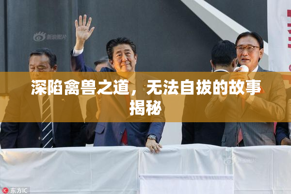 深陷禽兽之道，无法自拔的故事揭秘