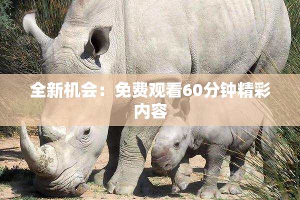 全新机会：免费观看60分钟精彩内容