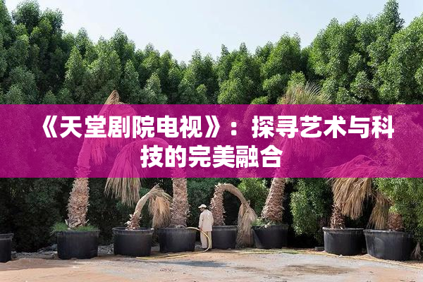 《天堂剧院电视》：探寻艺术与科技的完美融合