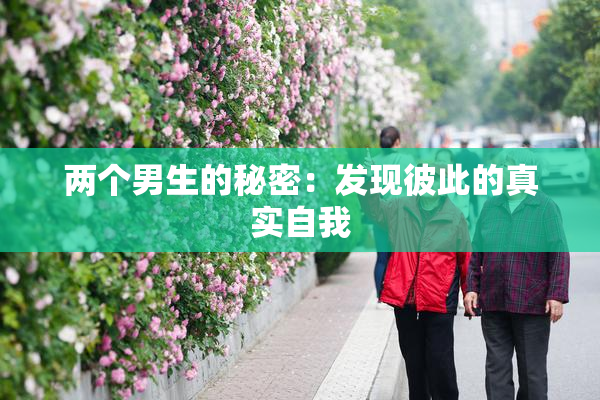 两个男生的秘密：发现彼此的真实自我