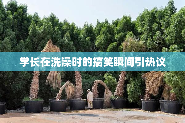 学长在洗澡时的搞笑瞬间引热议