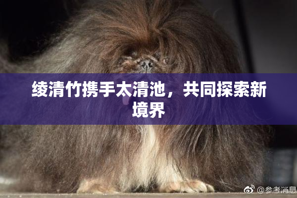 绫清竹携手太清池，共同探索新境界