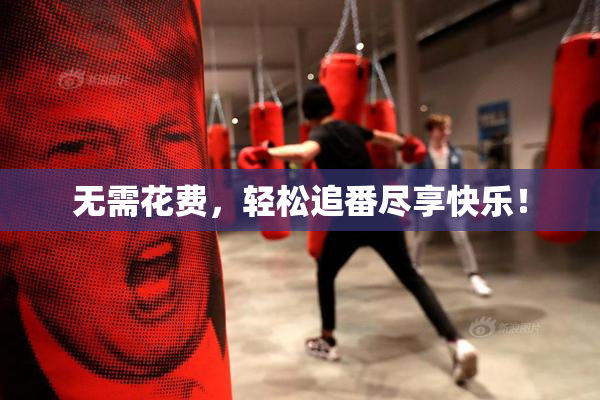 无需花费，轻松追番尽享快乐！