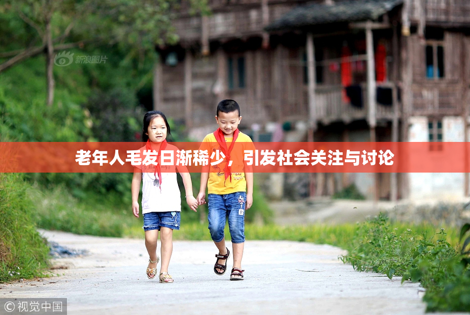 老年人毛发日渐稀少，引发社会关注与讨论