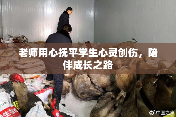 老师用心抚平学生心灵创伤，陪伴成长之路