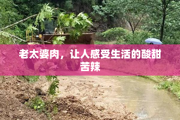 老太婆肉，让人感受生活的酸甜苦辣