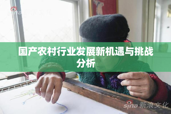 国产农村行业发展新机遇与挑战分析