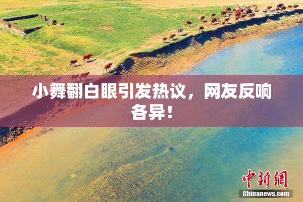 小舞翻白眼引发热议，网友反响各异！
