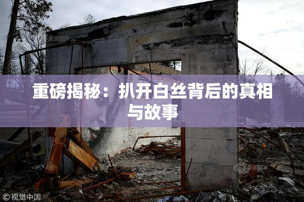 重磅揭秘：扒开白丝背后的真相与故事
