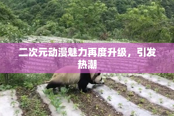 二次元动漫魅力再度升级，引发热潮