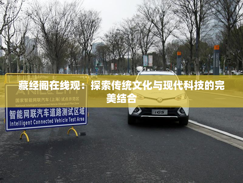 藏经阁在线观：探索传统文化与现代科技的完美结合