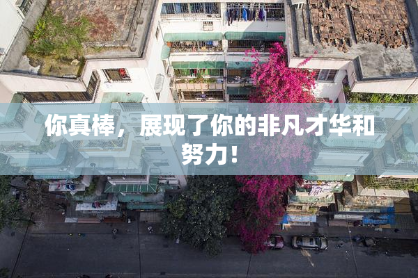 你真棒，展现了你的非凡才华和努力！
