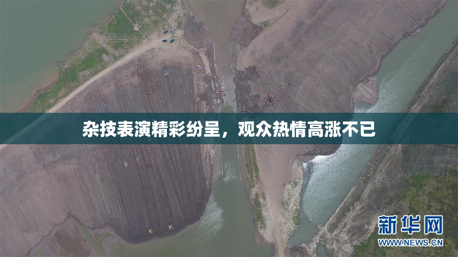 杂技表演精彩纷呈，观众热情高涨不已