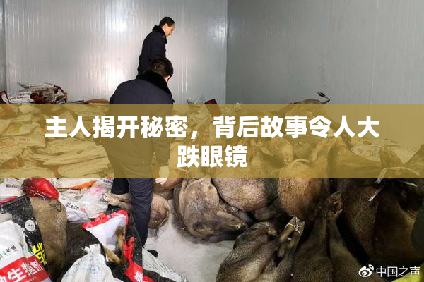 主人揭开秘密，背后故事令人大跌眼镜