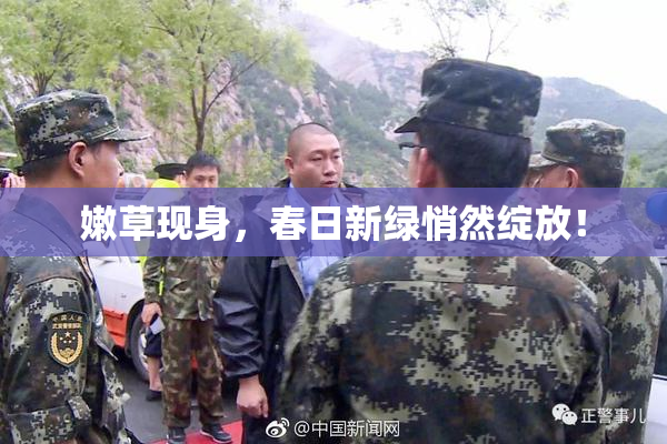 嫩草现身，春日新绿悄然绽放！