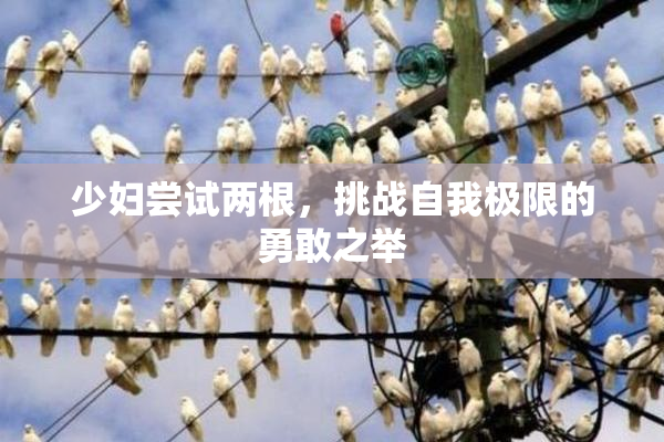 少妇尝试两根，挑战自我极限的勇敢之举