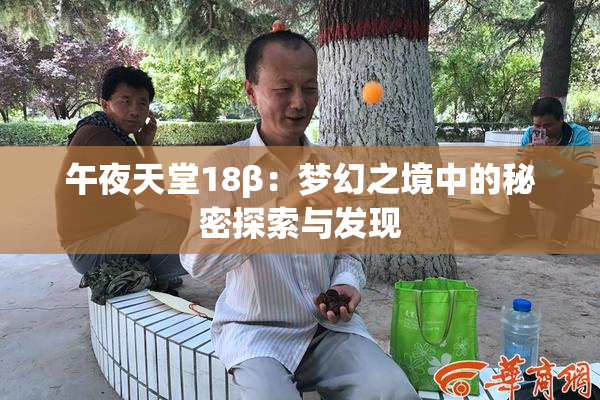 午夜天堂18β：梦幻之境中的秘密探索与发现
