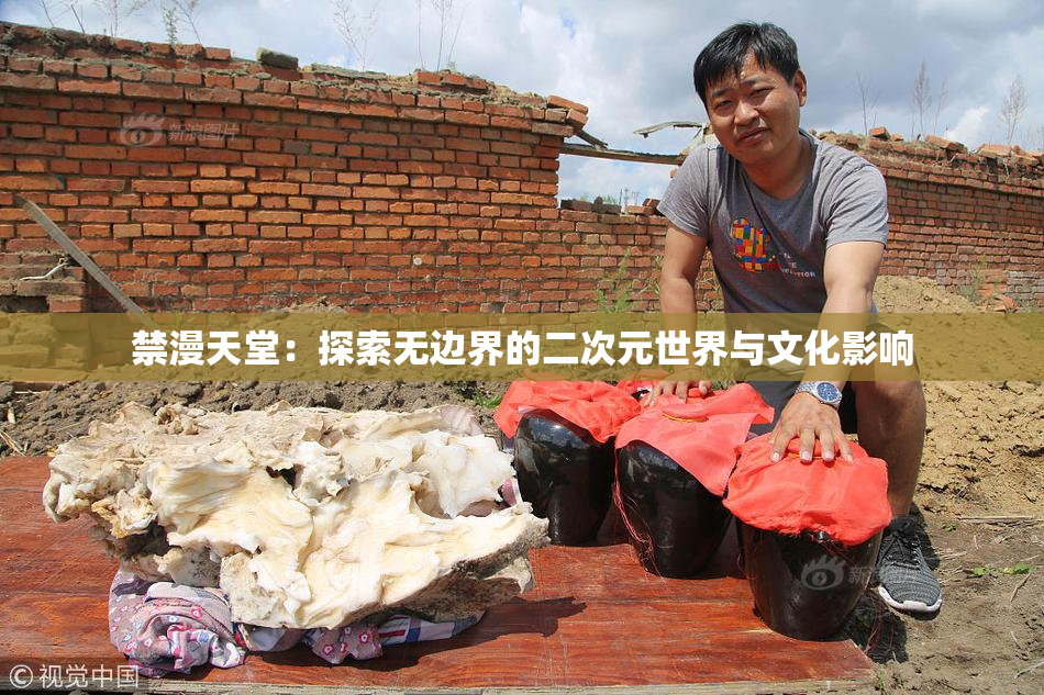 禁漫天堂：探索无边界的二次元世界与文化影响